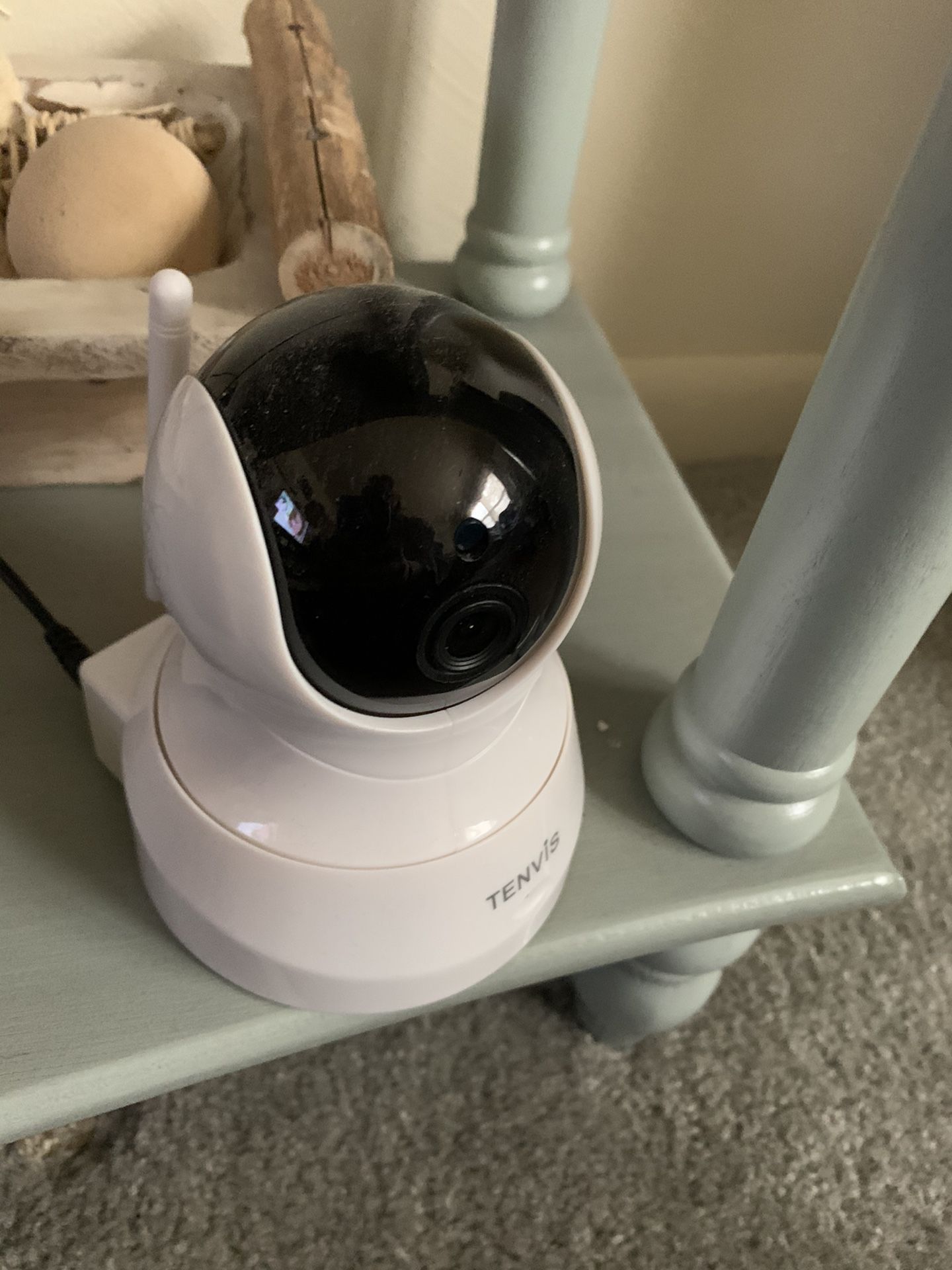 Pet/baby camera