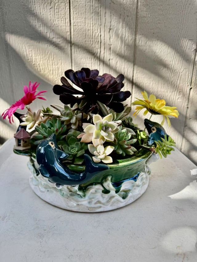 11" Succulent Arrangement in Ceramic Dolphin Pot