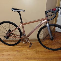 Project Bike Gold Custom Trek Hybrid Road Bike Frameset  For Sale 