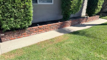 Free bricks