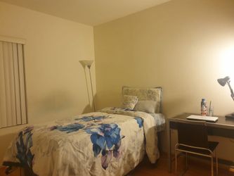 One Furnished Master Bedroom