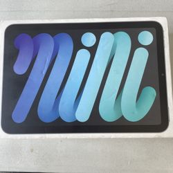iPad mini 