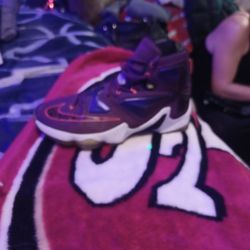 Labron James 13