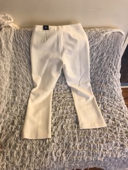 Express pants