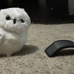 Owl from Universal Studios