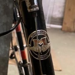 Motobcane French Bicycle with Forte Bike Seat