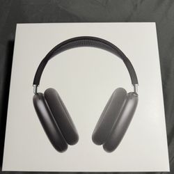 AirPod Max Grey 