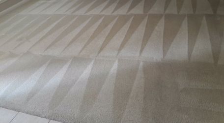 Steam carpet