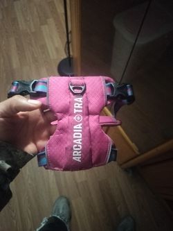 Dog Vest (Arcadia)