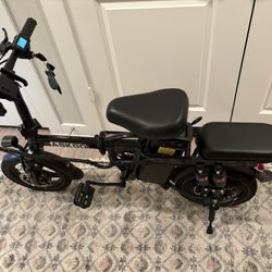2 Seater E Bike (40MPH)