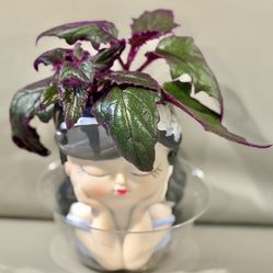 Cutest Girl Planter With Purple Passion Vibe