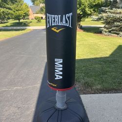 Everlast MMA Punching Bag. 