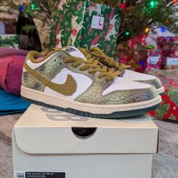 SB Dunk Chameleon SZ 12