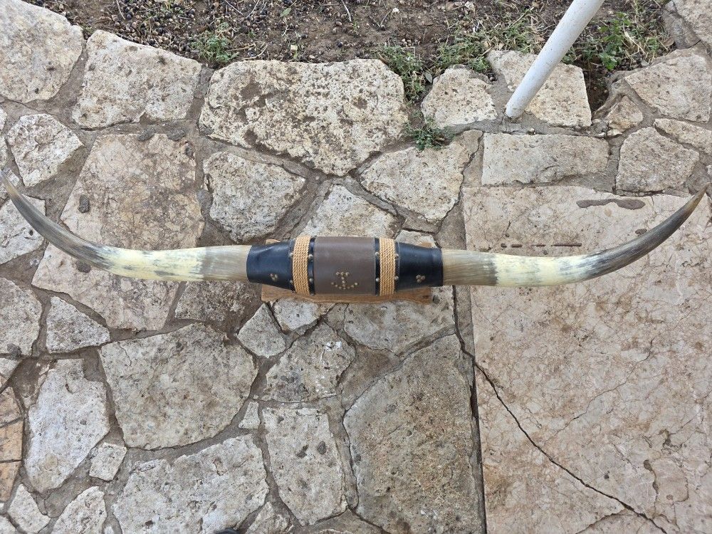 Longhorn Mount