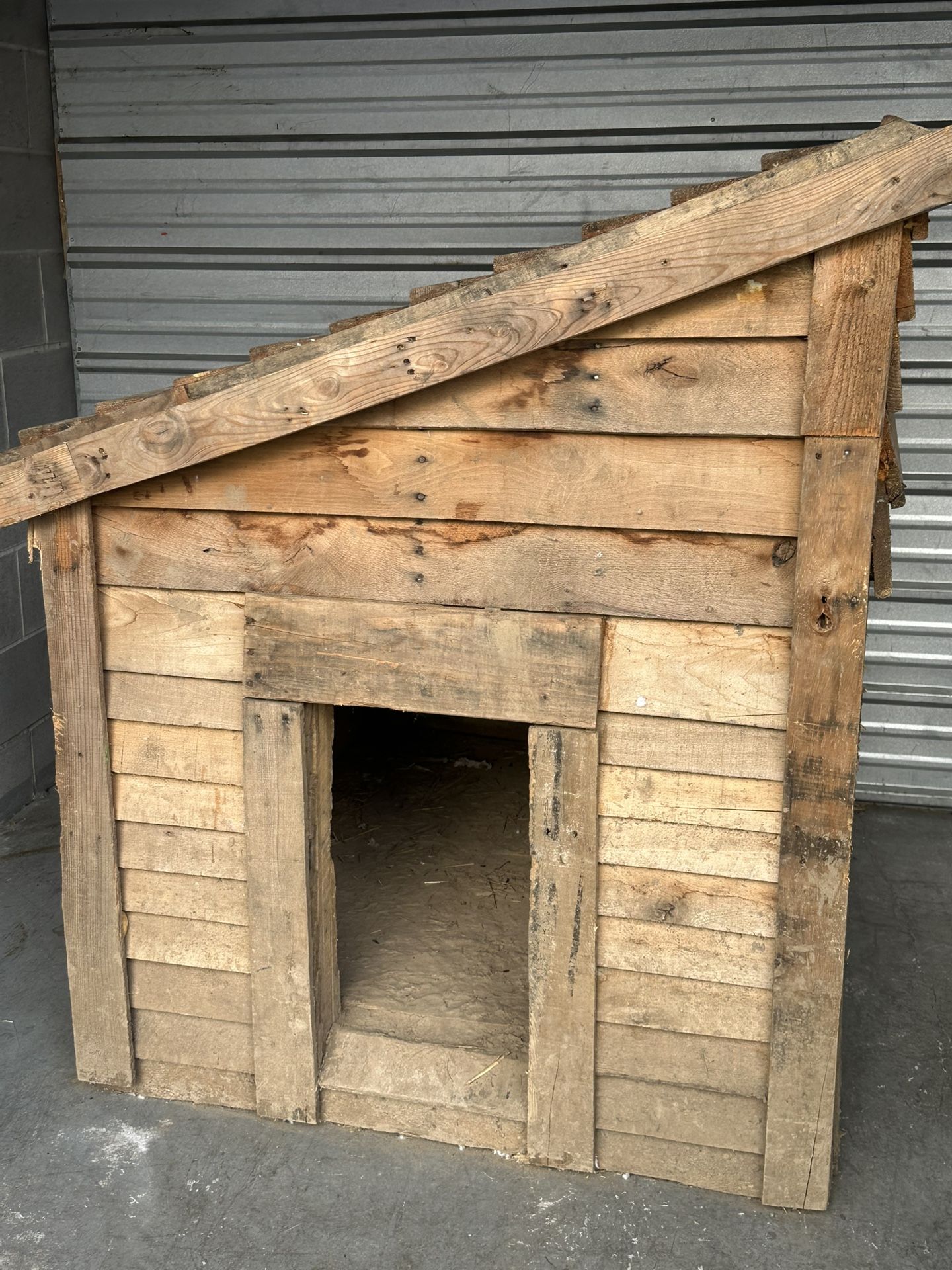 Massive Dog House