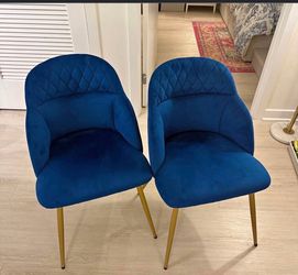 Blue velvet chairs
