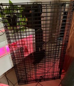 Large dog crate