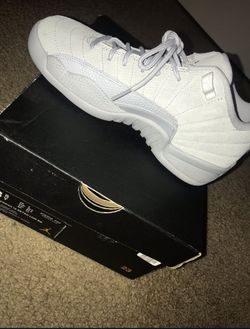 Jordan 12 Wolf Gray