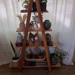 A Frame Plant Shelves 