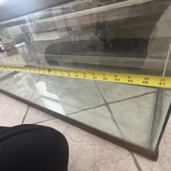 measurements of tank