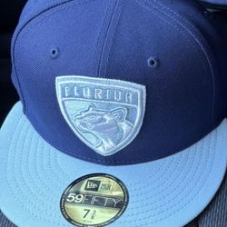 Florida panthers hat