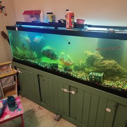 150 Gallon Fish Tank