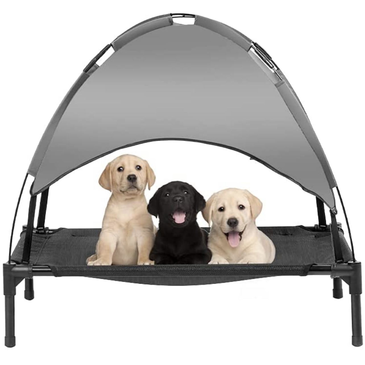 Elevated Dog Bed with Canopy, with Carrying Bag