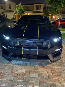 Car Wraps, stripes, hood wraps, roof wraps, camo