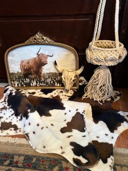 Highland cow decor