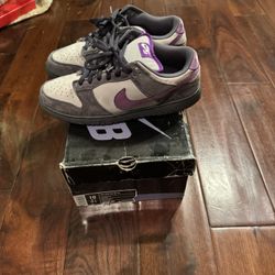 Nike Sb Purple Pigeon Sz 10(Used)