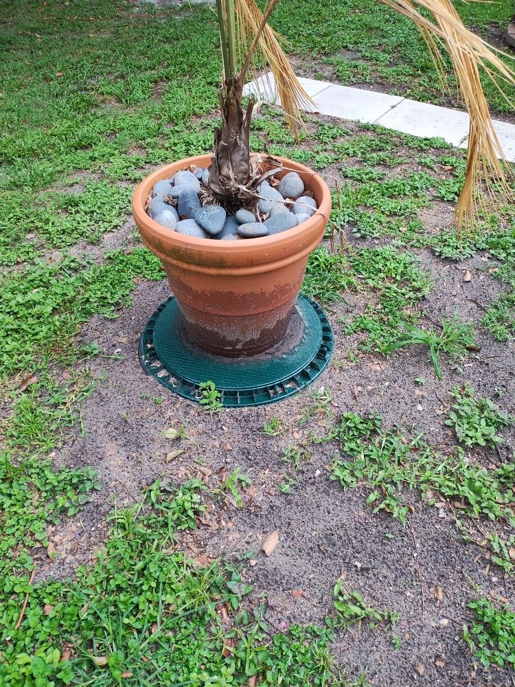 Terracotta Plant Pot