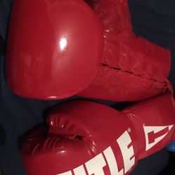 NEW TITLE 14Oz BOXING GLOVES