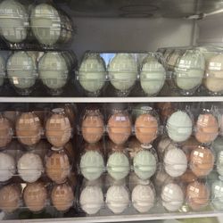 Free Range Chicken And Duck Eggs