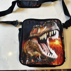 Lunch Box With Ice Packs. 