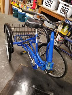 Alameda 3 best sale wheel bike