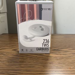 Earbuds