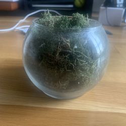 Artificial Moss Plant Decoration