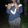 kendrik kemp