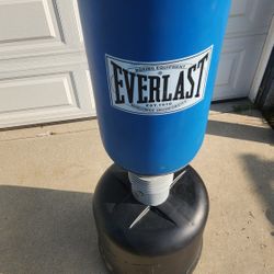 Everlast Punching Bag