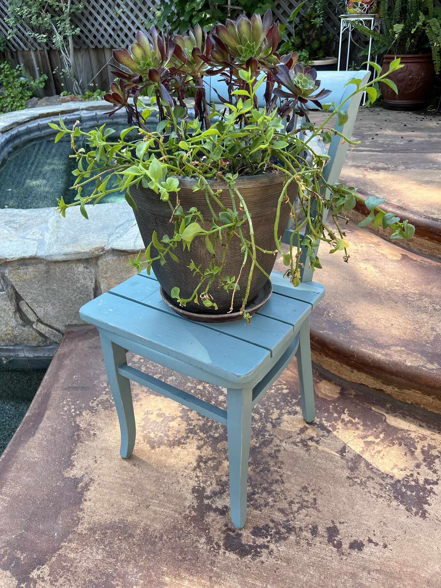 Plant Stand With Potted Plants 