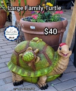 Large Family Turtle 