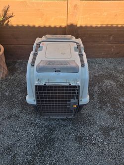 Dog House