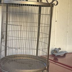 Bird Cage 