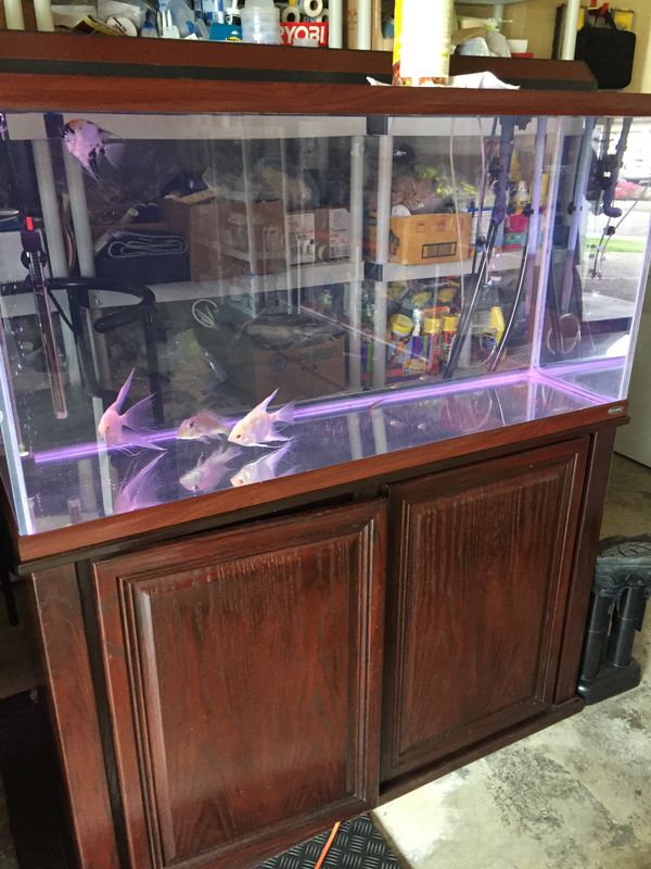 Oceanic 90 gallon aquarium for Sale in Everett, WA OfferUp