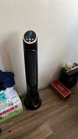 Fan
