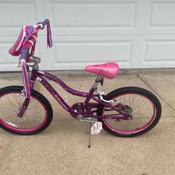 Schwinn Deelite Size 20 Kids Bike