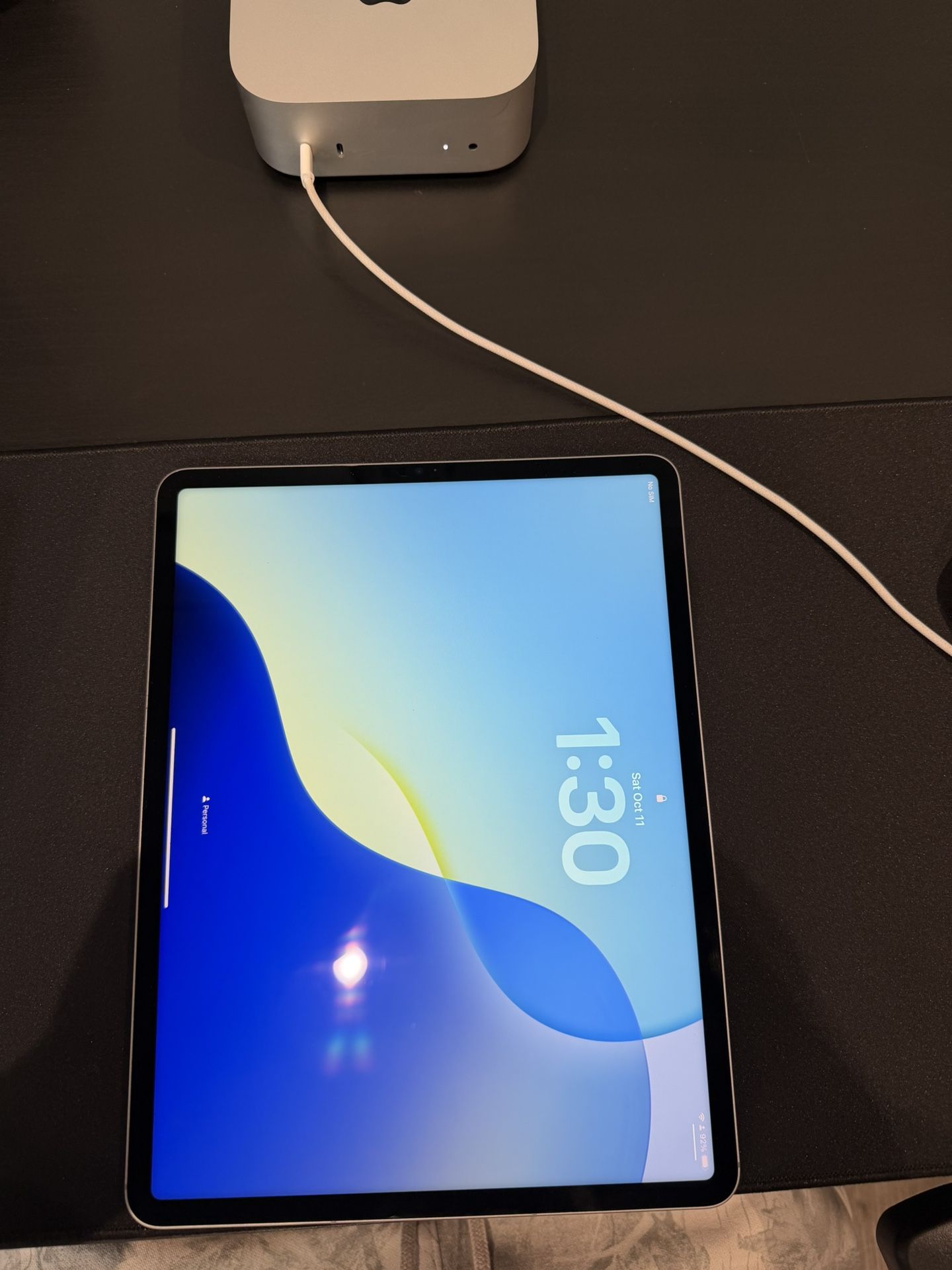 iPad Pro 12.9 Cellular 