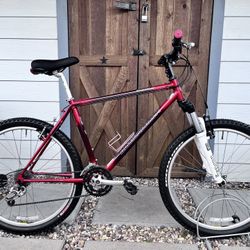 Beautiful Vintage Carbon Fiber 1996 WCF 2.0 Mountain Bike Upgraded