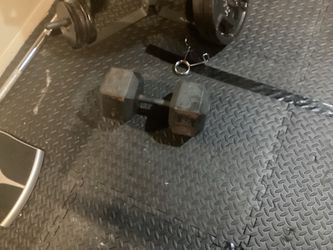 100 lb Dumbbell