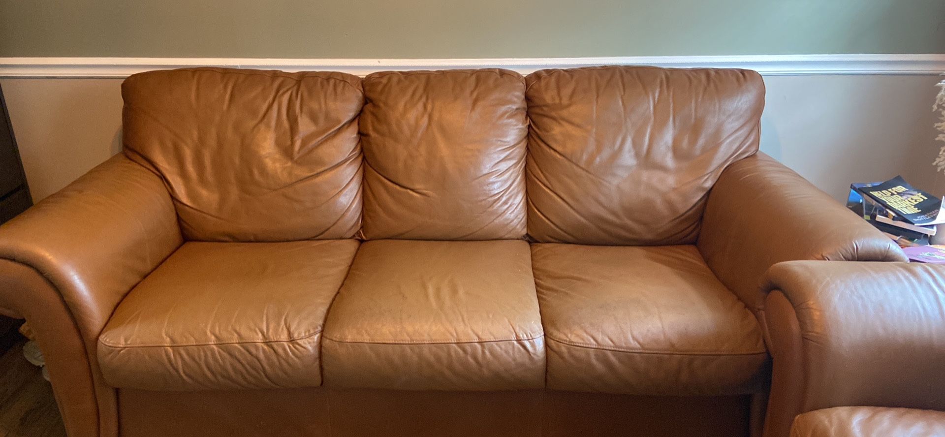Leather Couch And Sofa